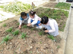 C:\Users\许雅\Desktop\9321472DDBB5099E8AEA40949DAC521D.png9321472DDBB5099E8AEA40949DAC521D