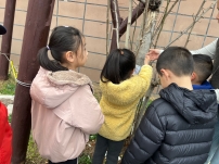 挂牌2