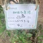 faceu_1741759274458